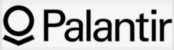 What kind of company is Palantir?
