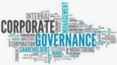 Insights on company governance