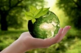 Should investors chase the ESG?